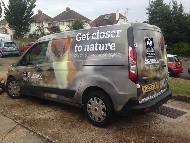 Small van with full wrap design for Sussex Wildlife Trust